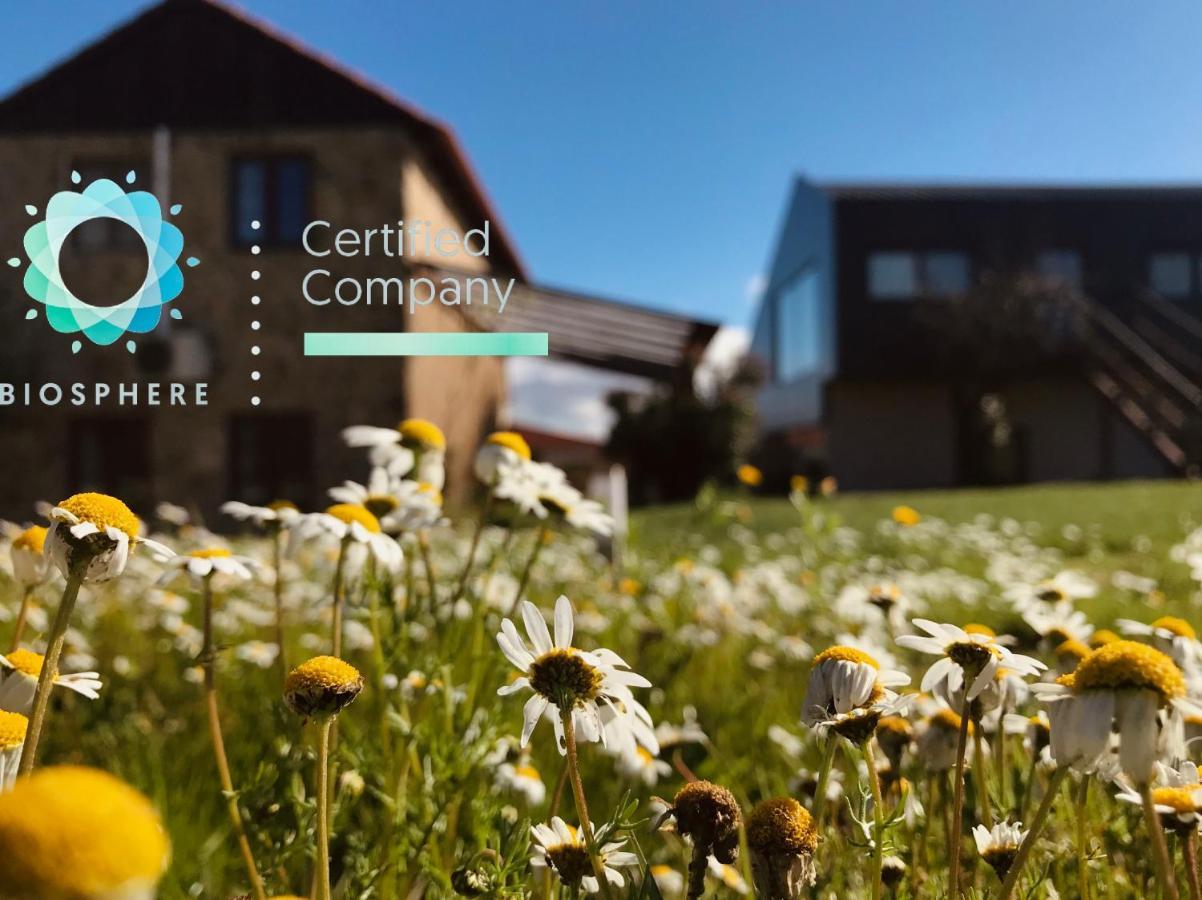 Villa Silene Covilhã Eksteriør billede
